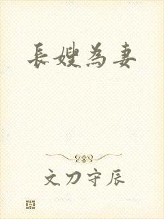 长嫂为妻封面