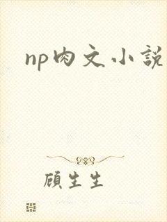 np肉文小说