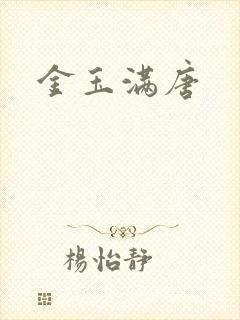 金玉满唐封面