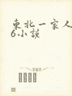 东北一家人1一6小说