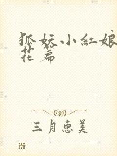 狐妖小红娘两生花篇封面