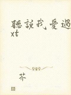 听说我爱过你txt