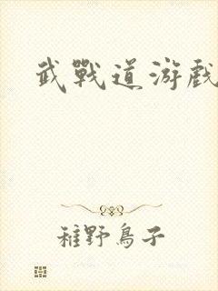 武战道游戏封面