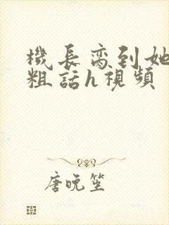 机长脔到她哭h粗话h视频封面