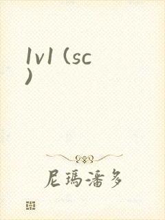 1v1 (sc)封面
