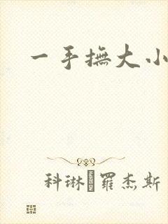 一手抚大小说