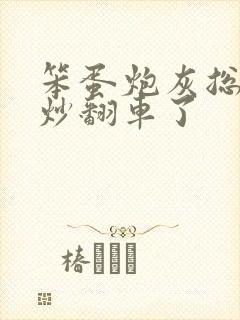 笨蛋炮灰总被爆炒翻车了