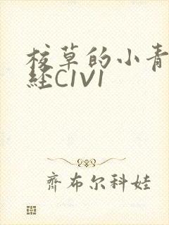 校草的小青梅不经C1V1