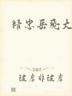 精忠岳飞大结局