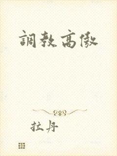 调教高傲