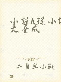 小说h从小做到大养成封面