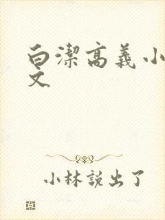 白洁高义小说全文封面