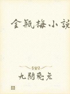 金瓶梅小说下载