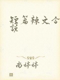 短篇辣文合集小说