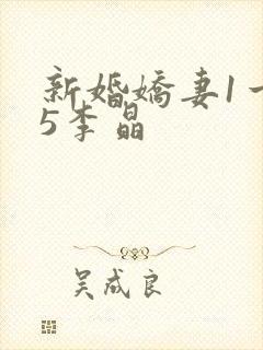新婚娇妻1一25李晶封面