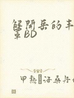 解开岳的丰满奶罩BD