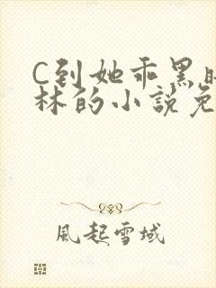 C到她乖黑暗森林的小说免费封面