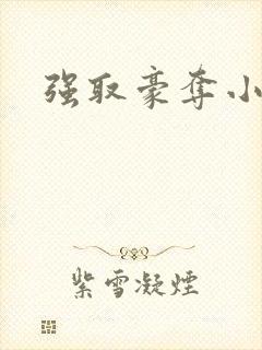 强取豪夺小说封面