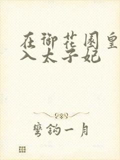 在御花园皇上进入太子妃封面