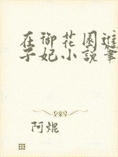 在御花园进入太子妃小说笔趣阁封面