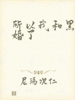 所以我和黑粉结婚了