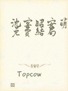 沈宴昭安萌全文免费结局