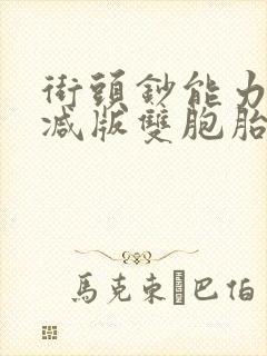 街头钞能力无删减版双胞胎