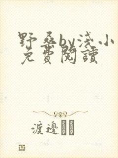 野桑by浅小说免费阅读封面