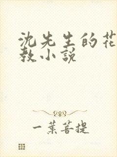 沈先生的花式管教小说