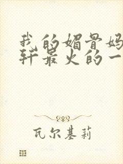 我的媚骨妈妈林轩最火的一句