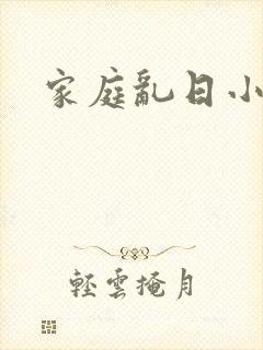 家庭乱日小说