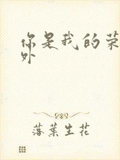 你是我的荣耀番外