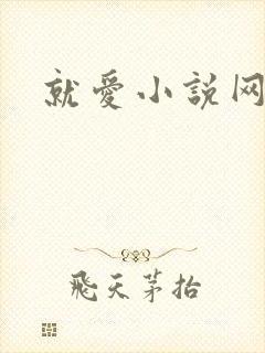 就爱小说网封面