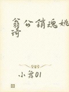 翁公销魂姚瑶琦琦