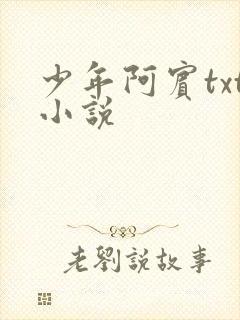 少年阿宾txt小说