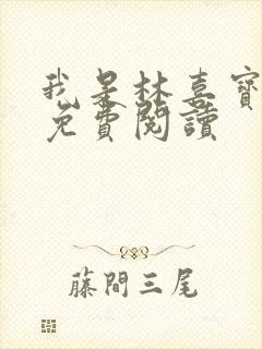 我是林喜宝小说免费阅读