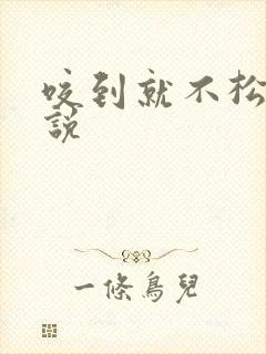 咬到就不松口小说