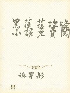 黑莲花攻略手册小说免费阅读封面