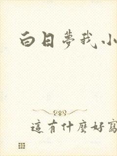 白日梦我小说