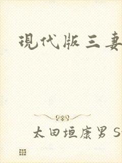 现代版三妻四妾封面