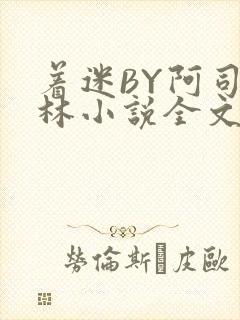 着迷BY阿司匹林小说全文免费阅读