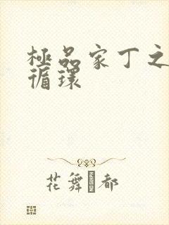 极品家丁之因果循环封面