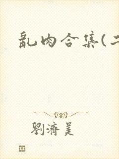 乱肉合集(二)封面