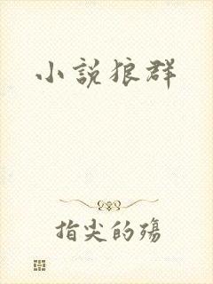 小说狼群