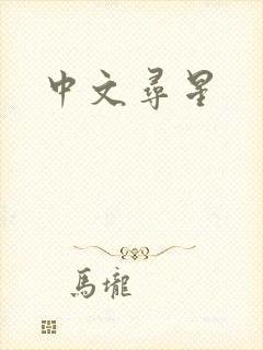 中文寻星
