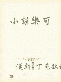 小说乐可