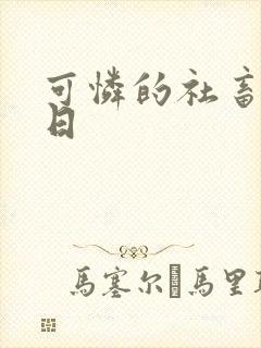 可怜的社畜东度日