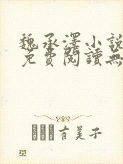 魏承泽小说全文免费阅读无弹窗笔趣封面