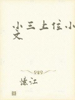 小三上位小说全文