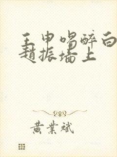 王申喝醉白洁被赵振墙上